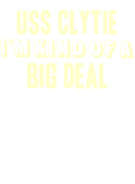 https://d1w8c6s6gmwlek.cloudfront.net/usstshirts.com/overlays/710/846/7108464.png img