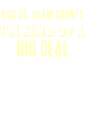 https://d1w8c6s6gmwlek.cloudfront.net/usstshirts.com/overlays/710/896/7108965.png img