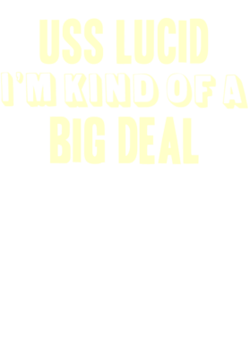 https://d1w8c6s6gmwlek.cloudfront.net/usstshirts.com/overlays/710/903/7109038.png img