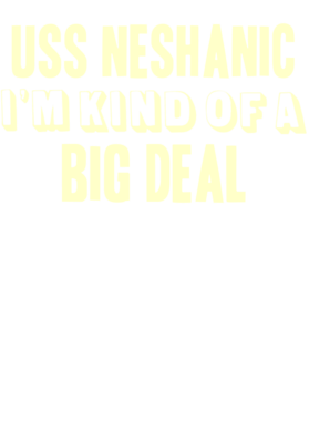 https://d1w8c6s6gmwlek.cloudfront.net/usstshirts.com/overlays/711/033/7110334.png img