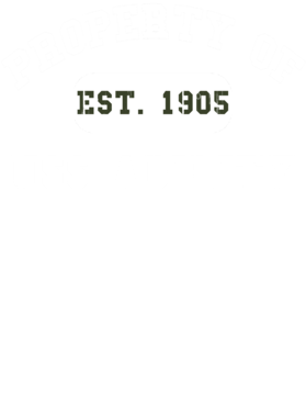 https://d1w8c6s6gmwlek.cloudfront.net/usstshirts.com/overlays/711/180/7111802.png img
