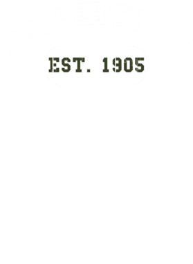 https://d1w8c6s6gmwlek.cloudfront.net/usstshirts.com/overlays/711/183/7111833.png img