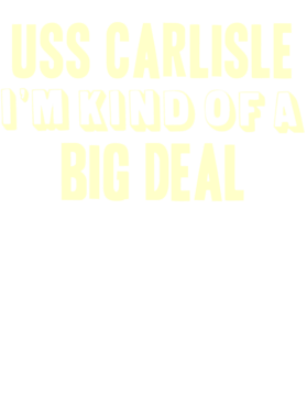 https://d1w8c6s6gmwlek.cloudfront.net/usstshirts.com/overlays/711/183/7111839.png img