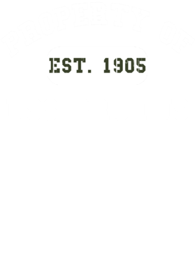 https://d1w8c6s6gmwlek.cloudfront.net/usstshirts.com/overlays/711/198/7111984.png img