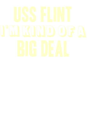 https://d1w8c6s6gmwlek.cloudfront.net/usstshirts.com/overlays/711/208/7112080.png img