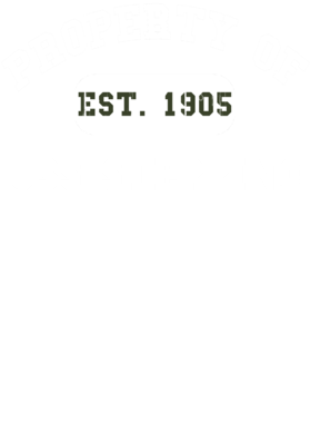 https://d1w8c6s6gmwlek.cloudfront.net/usstshirts.com/overlays/711/262/7112629.png img