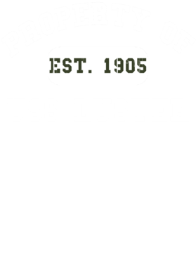 https://d1w8c6s6gmwlek.cloudfront.net/usstshirts.com/overlays/711/336/7113367.png img