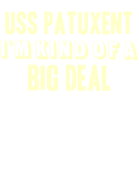 https://d1w8c6s6gmwlek.cloudfront.net/usstshirts.com/overlays/711/376/7113760.png img