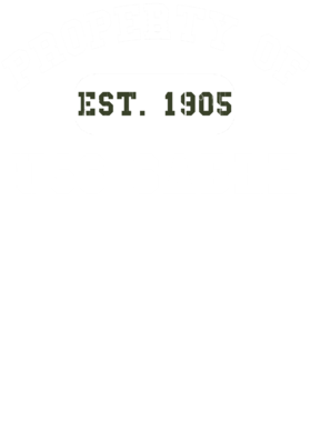 https://d1w8c6s6gmwlek.cloudfront.net/usstshirts.com/overlays/711/424/7114243.png img