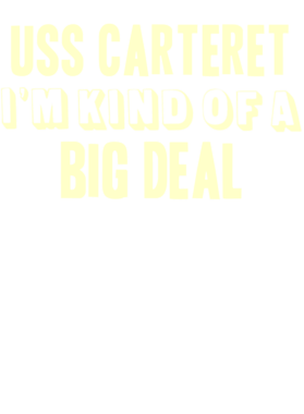 https://d1w8c6s6gmwlek.cloudfront.net/usstshirts.com/overlays/711/542/7115426.png img