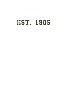 https://d1w8c6s6gmwlek.cloudfront.net/usstshirts.com/overlays/711/545/7115456.png img