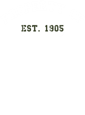 https://d1w8c6s6gmwlek.cloudfront.net/usstshirts.com/overlays/711/562/7115625.png img