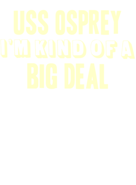 https://d1w8c6s6gmwlek.cloudfront.net/usstshirts.com/overlays/711/600/7116000.png img