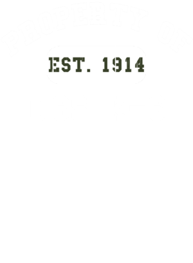 https://d1w8c6s6gmwlek.cloudfront.net/usstshirts.com/overlays/712/127/7121273.png img