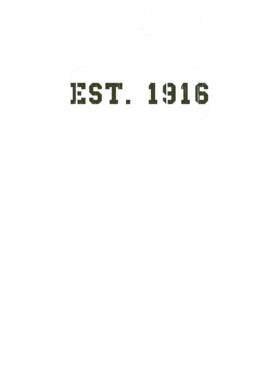 https://d1w8c6s6gmwlek.cloudfront.net/usstshirts.com/overlays/712/269/7122694.png img