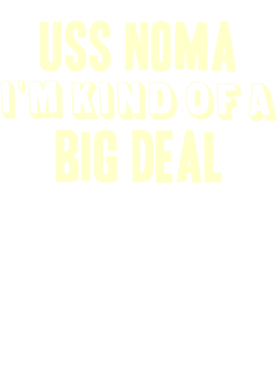 https://d1w8c6s6gmwlek.cloudfront.net/usstshirts.com/overlays/712/468/7124686.png img
