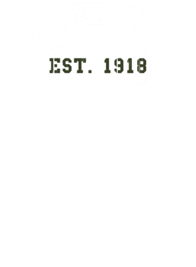 https://d1w8c6s6gmwlek.cloudfront.net/usstshirts.com/overlays/712/489/7124898.png img