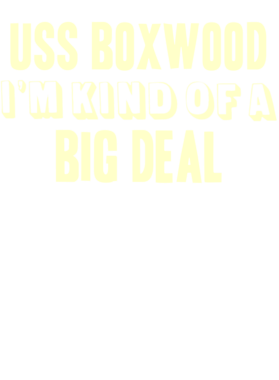 https://d1w8c6s6gmwlek.cloudfront.net/usstshirts.com/overlays/712/583/7125837.png img