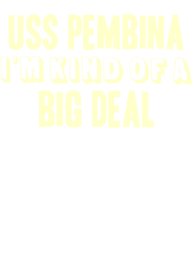 https://d1w8c6s6gmwlek.cloudfront.net/usstshirts.com/overlays/712/720/7127203.png img