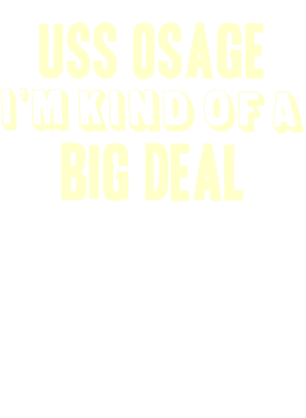 image overlay