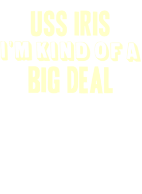 https://d1w8c6s6gmwlek.cloudfront.net/usstshirts.com/overlays/713/097/7130971.png img