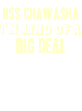 https://d1w8c6s6gmwlek.cloudfront.net/usstshirts.com/overlays/713/141/7131415.png img