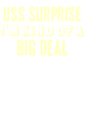 https://d1w8c6s6gmwlek.cloudfront.net/usstshirts.com/overlays/713/159/7131598.png img