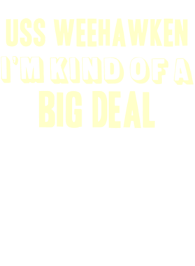https://d1w8c6s6gmwlek.cloudfront.net/usstshirts.com/overlays/713/351/7133517.png img