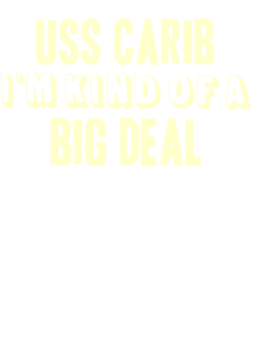 https://d1w8c6s6gmwlek.cloudfront.net/usstshirts.com/overlays/713/529/7135293.png img