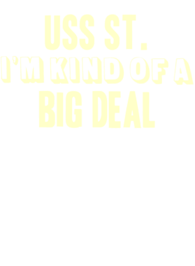 https://d1w8c6s6gmwlek.cloudfront.net/usstshirts.com/overlays/713/859/7138590.png img