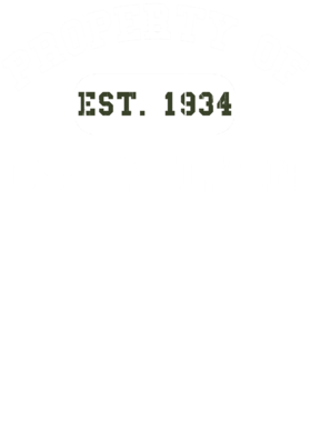 https://d1w8c6s6gmwlek.cloudfront.net/usstshirts.com/overlays/713/918/7139185.png img