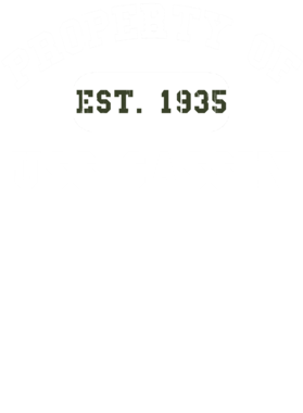 https://d1w8c6s6gmwlek.cloudfront.net/usstshirts.com/overlays/713/946/7139464.png img