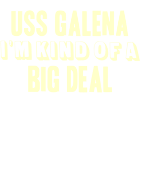 https://d1w8c6s6gmwlek.cloudfront.net/usstshirts.com/overlays/713/966/7139666.png img