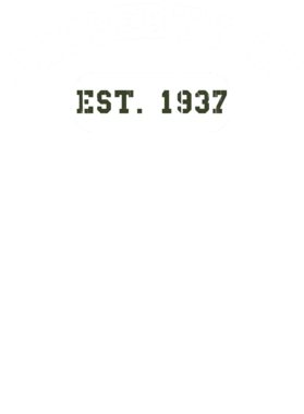 https://d1w8c6s6gmwlek.cloudfront.net/usstshirts.com/overlays/714/065/7140653.png img