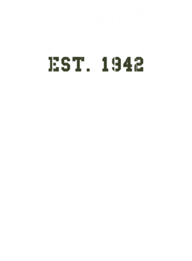 https://d1w8c6s6gmwlek.cloudfront.net/usstshirts.com/overlays/717/058/7170587.png img