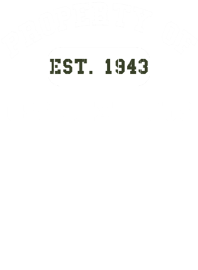 https://d1w8c6s6gmwlek.cloudfront.net/usstshirts.com/overlays/717/936/7179365.png img