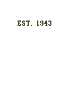 https://d1w8c6s6gmwlek.cloudfront.net/usstshirts.com/overlays/718/224/7182242.png img
