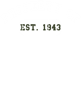 https://d1w8c6s6gmwlek.cloudfront.net/usstshirts.com/overlays/718/248/7182481.png img