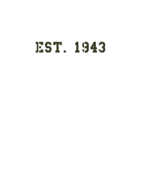 https://d1w8c6s6gmwlek.cloudfront.net/usstshirts.com/overlays/718/515/7185155.png img