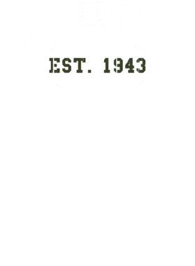 https://d1w8c6s6gmwlek.cloudfront.net/usstshirts.com/overlays/718/519/7185192.png img