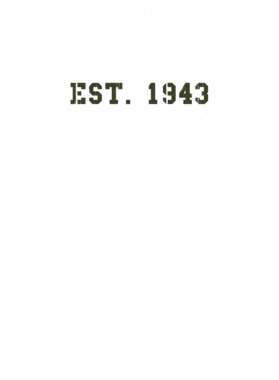 https://d1w8c6s6gmwlek.cloudfront.net/usstshirts.com/overlays/718/599/7185998.png img