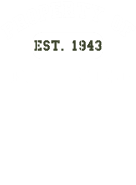 https://d1w8c6s6gmwlek.cloudfront.net/usstshirts.com/overlays/718/827/7188273.png img