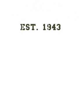 https://d1w8c6s6gmwlek.cloudfront.net/usstshirts.com/overlays/718/856/7188567.png img