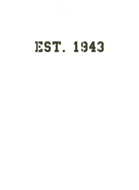 https://d1w8c6s6gmwlek.cloudfront.net/usstshirts.com/overlays/718/932/7189327.png img