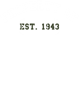 https://d1w8c6s6gmwlek.cloudfront.net/usstshirts.com/overlays/719/226/7192262.png img