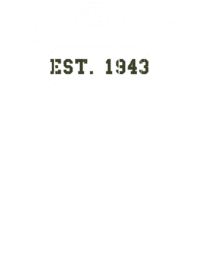 https://d1w8c6s6gmwlek.cloudfront.net/usstshirts.com/overlays/719/238/7192380.png img