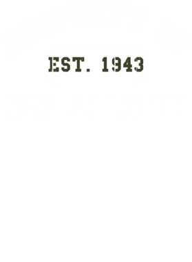 https://d1w8c6s6gmwlek.cloudfront.net/usstshirts.com/overlays/719/651/7196511.png img