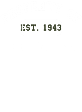 https://d1w8c6s6gmwlek.cloudfront.net/usstshirts.com/overlays/719/654/7196541.png img