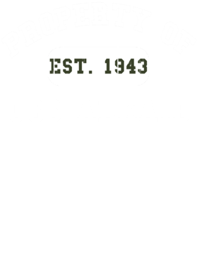 https://d1w8c6s6gmwlek.cloudfront.net/usstshirts.com/overlays/719/825/7198253.png img