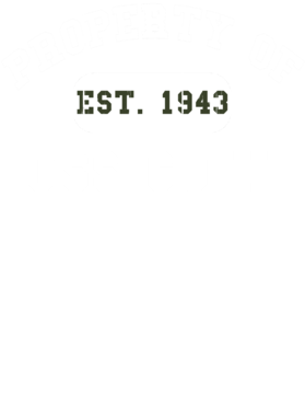 https://d1w8c6s6gmwlek.cloudfront.net/usstshirts.com/overlays/719/828/7198284.png img